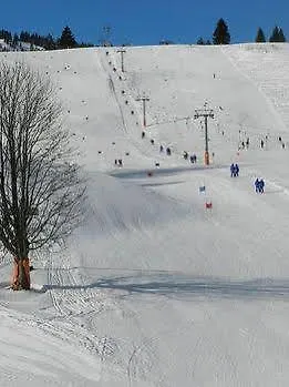 Hotel Pizzeria Mittenwald