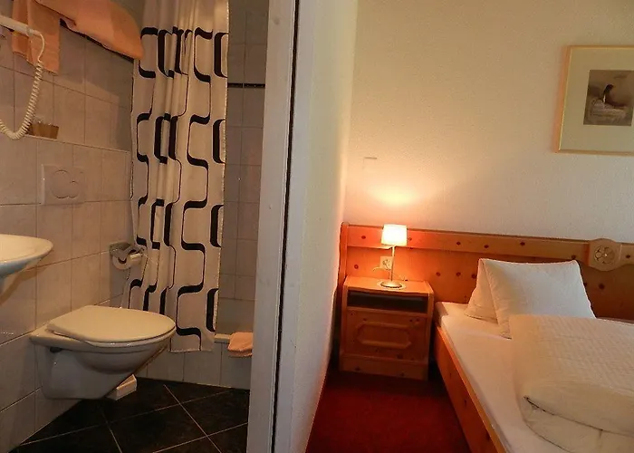 Hotel Pizzeria Mittenwald 3*